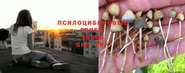 молекула духа Балабаново